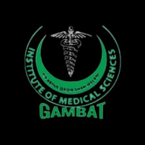 Gambat Institute of Medical Sciences logo