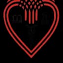 Istanbul Science University