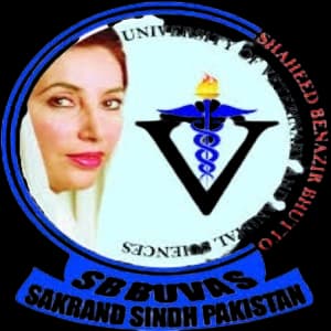 Shaheed Benazir Bhutto University of Veterinary and Animal Sciences logo