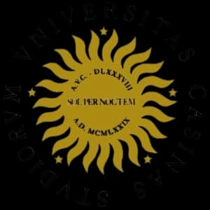 University of Cassino and Southern Lazio logo