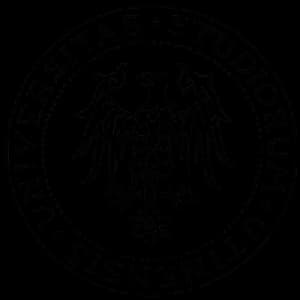 University of Udine logo