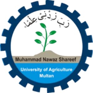 Muhammad Nawaz Sharif University Of Agriculture logo